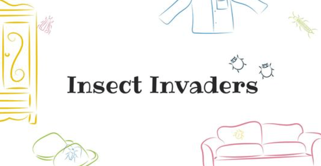 Insect Invaders